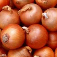 Семена лука Манас первой репродукции