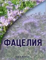 Фацелия рядовая, коробка 1 кг (уп. 14 шт), СП 3093