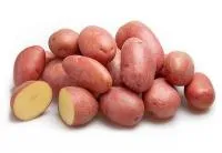 Семенной картофель