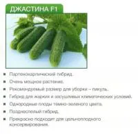 Семена огурца Джастина F1 (1000с)