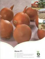 Семена лука Манас F1 (250 000с)