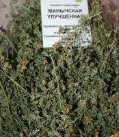 Семена люцерны Маныческая