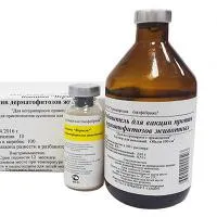 ВАКЦИНА «ВЕРМЕТ» ПРОТИВ ДЕРМАТОФИТОЗОВ ЖИВОТНЫХ (ДЛЯ КРС)